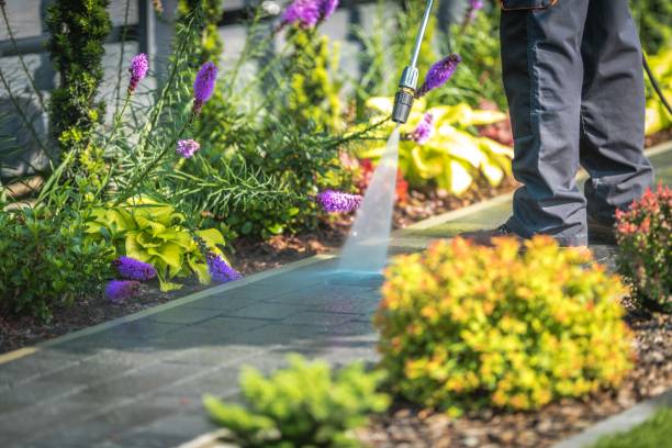 Best Gutter Cleaning  in Eaton Estates, OH